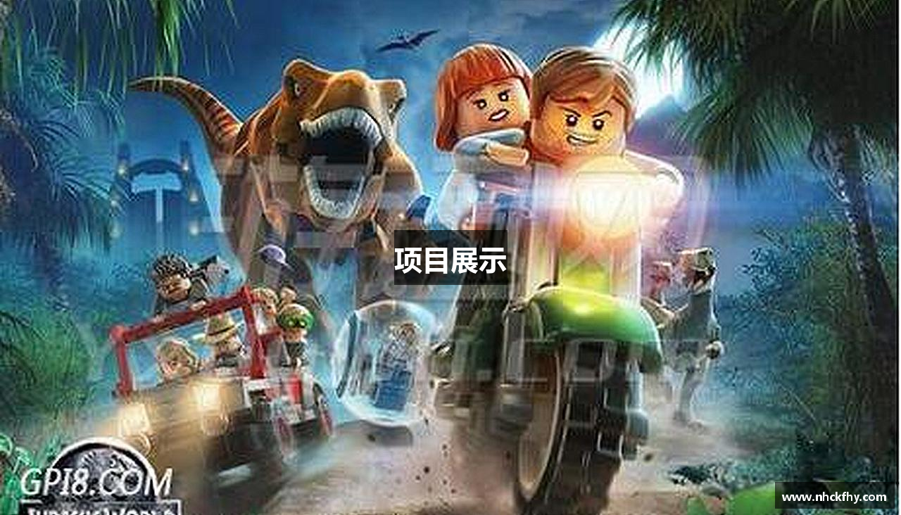 项目展示